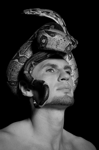 3794283731_72e5284279