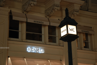 thepasseNgertimes'12-wien06