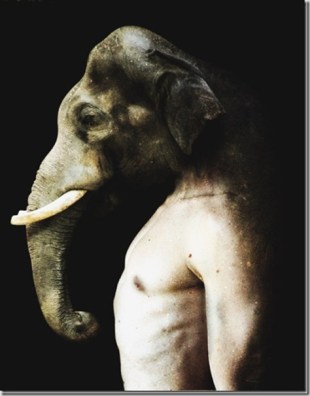 Francesco Sambo digital art øTheP05