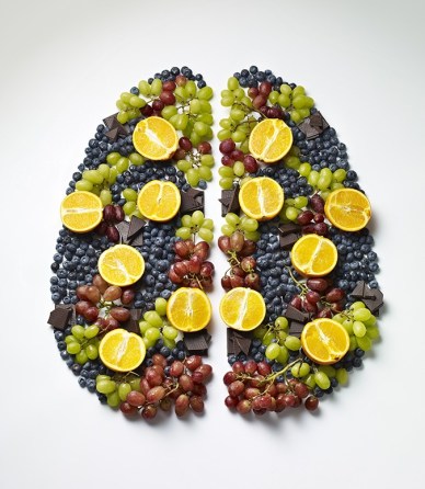 kyle bean brain TheP03