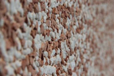 1384838_10202085965336231_1197405240_n