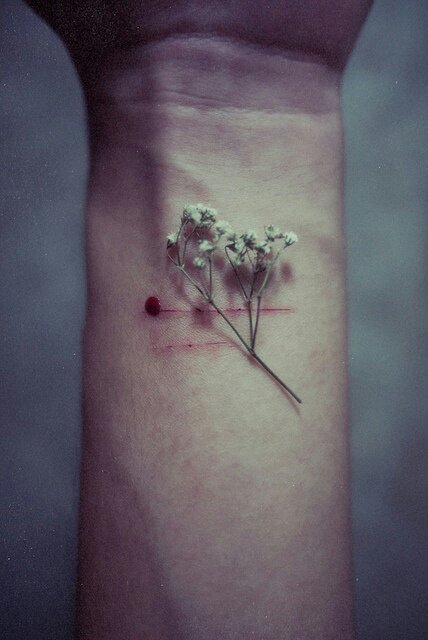 77aaa4f4b9383ad2839683f85e3ecef6.jpg image