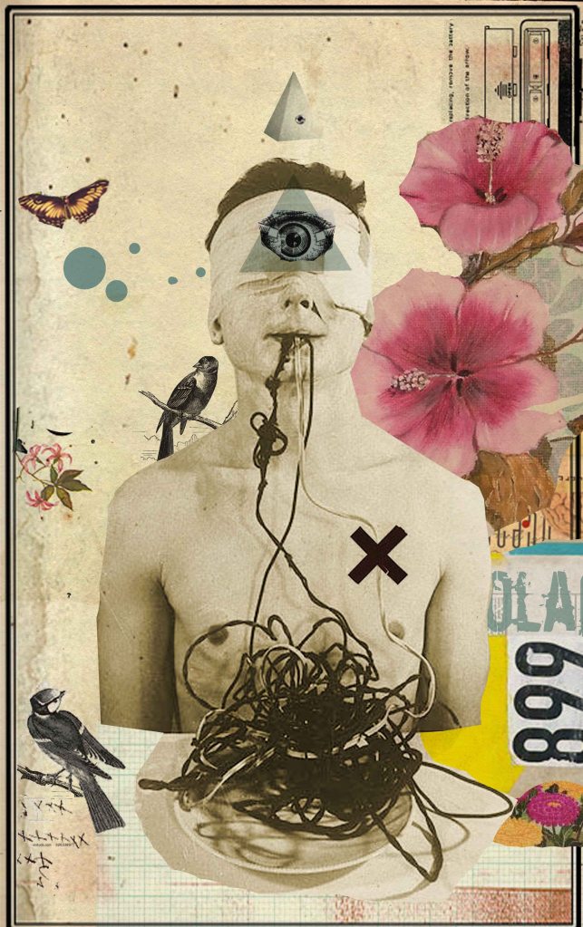 diego-max-bricolagens