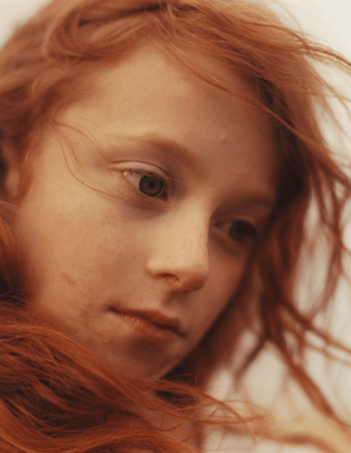 Harley Weir highlands