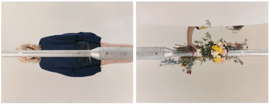 Harley Weir portfolio