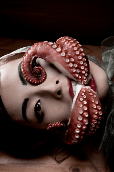 Formento & Formento 1