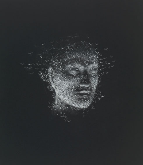 Crayon on black paper 56,1 x 49,1 cm  2009 Private collection The Netherlands