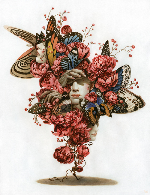 wandering_across_a_borrowed_belief