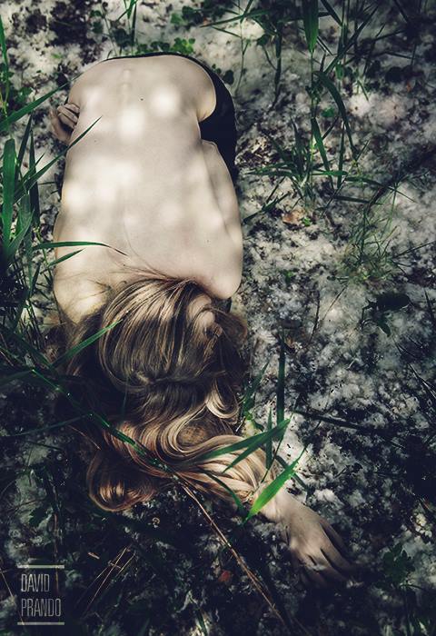 10348231_299284690239453_8634182130297393946_n