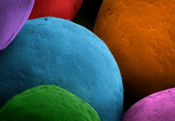 Alpert_terra_cibus_no_12_cake_sprinkles-570x395