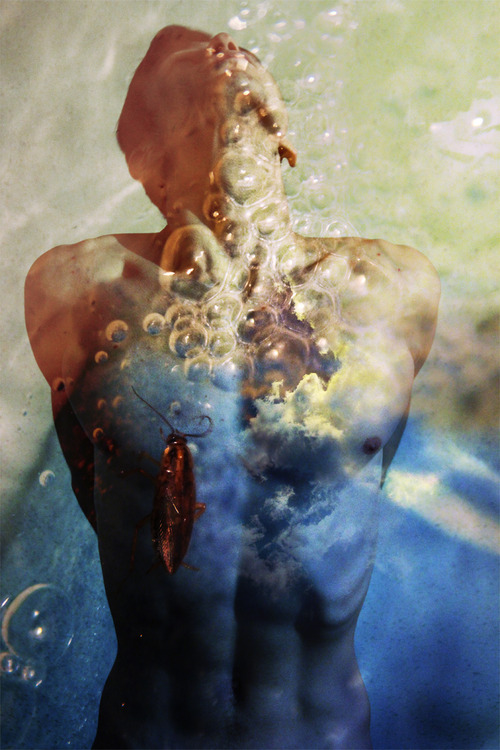 tumblr_naq69hyxYc1qlq9poo5_500