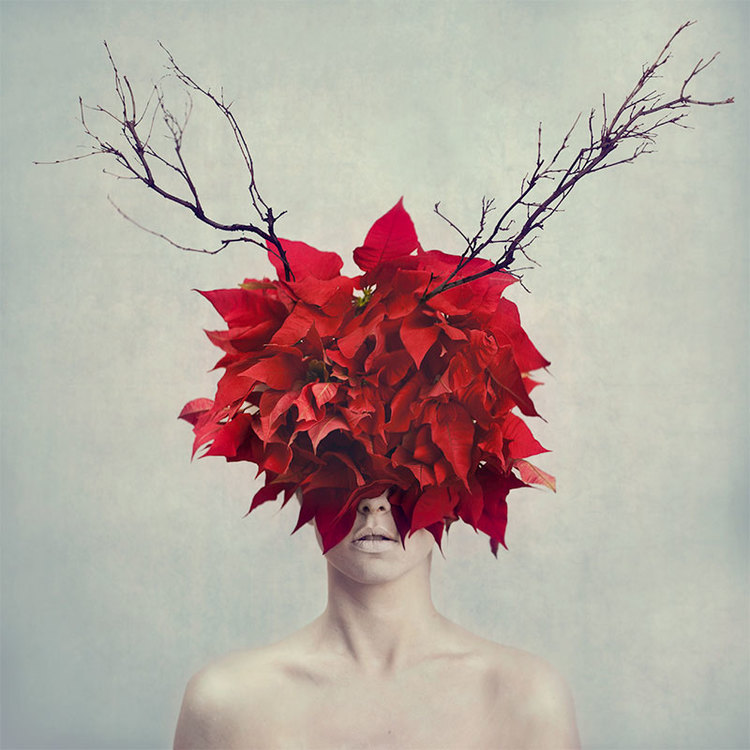 Amelia_Fletcher_Self_013