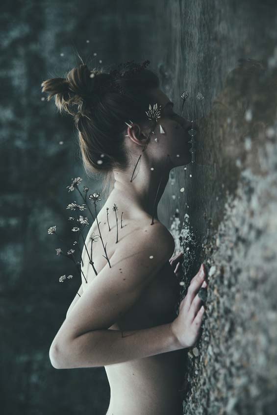 molly+strohl+bleeblu