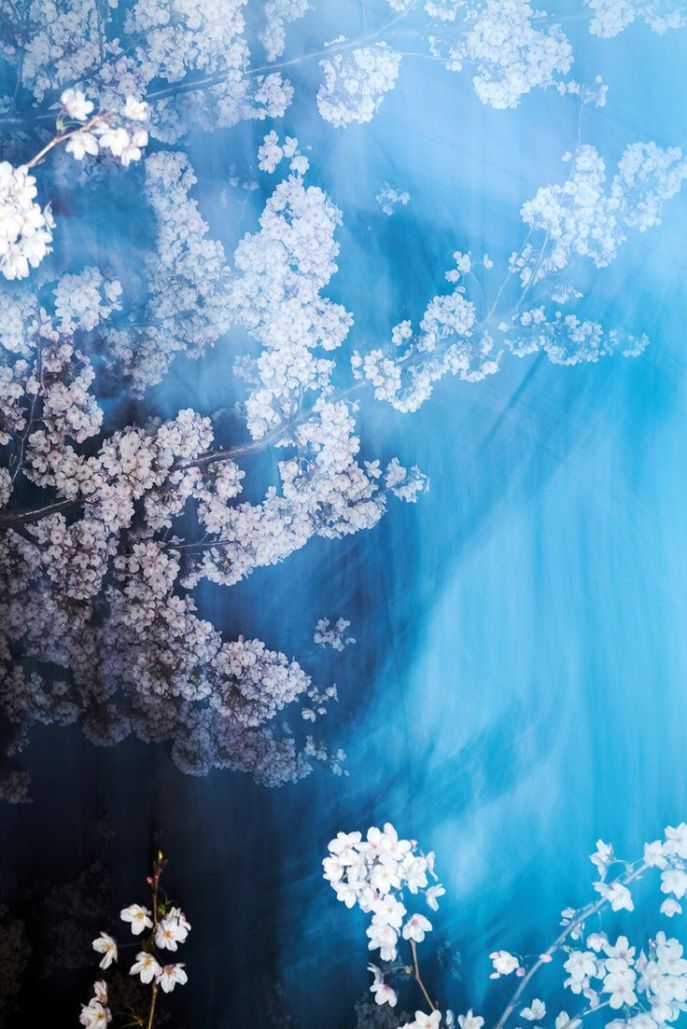 1acfbfa4ad4555270165f71880be9072