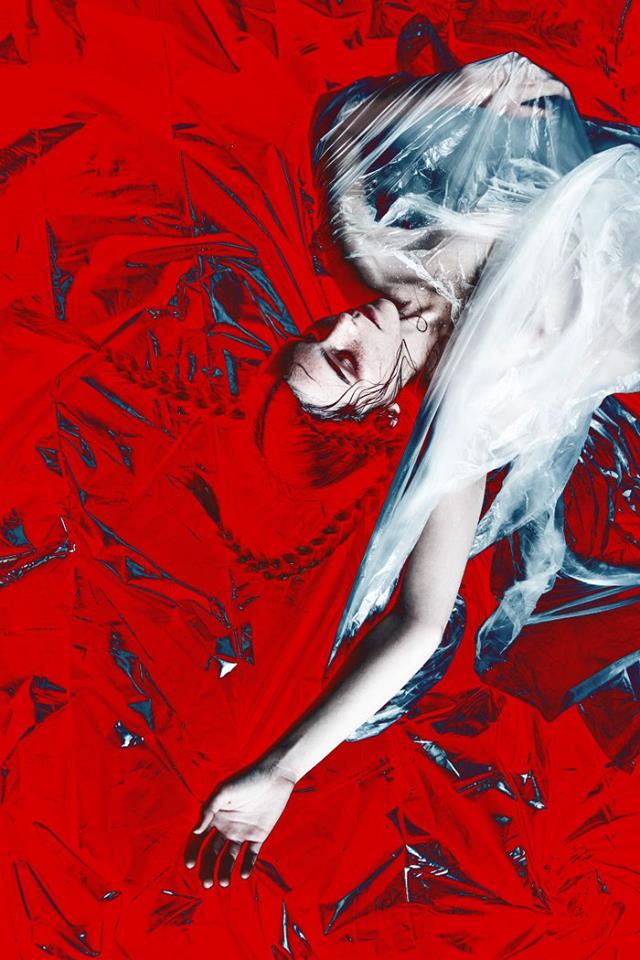 Nina Hawkins The Passenger Times