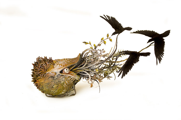 The Passenger Times Ellen Jewett naut