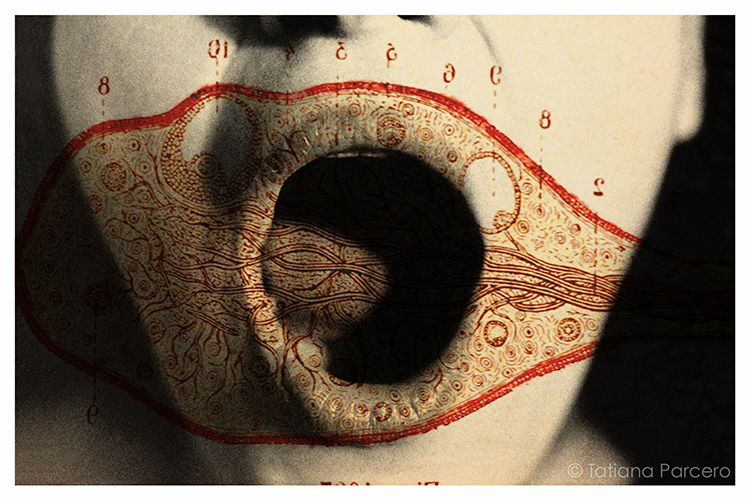 The Passenger Times Tatiana Parcero Cartografia interior .jpg