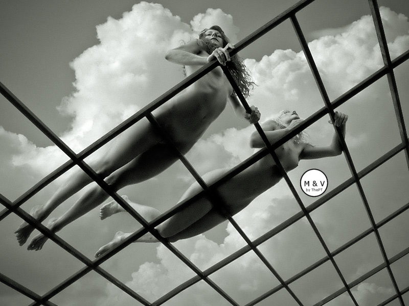 macs 19 12 2017 l.jpg